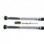 Touratech Suspension Cartridge Kit Extreme para BMW F800 GS (2008 - 2012)