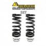 Kit de muelles amortiguadores progresivos delantero y trasero para BMW R1200GS / R1200GS Adventure 2005-2013