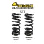 Muelles progresivos para amortiguadores delantero y trasero de BMW R1200GS ADV 2007-2010