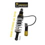 Tubo amortiguador de la suspensión para BMW F750GS desde 2018 tipo Level 2  Touratech