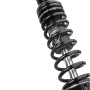 Set de suspensión BLACK-T Twin-Shock Stage2 con ajuste de longitud para Triumph Speed Twin a partir de 2019