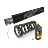 Touratech Kit de rebaje "-25mm" para VOGE DS 525 X (2025-), muelles de recambio